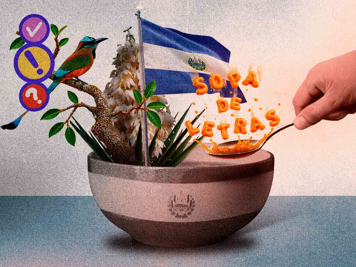Una sopa de letras pone a prueba los conocimientos sobre los símbolos patrios de El Salvador.