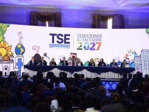 Tribunal-Supremo-Electoral-TSE (1)