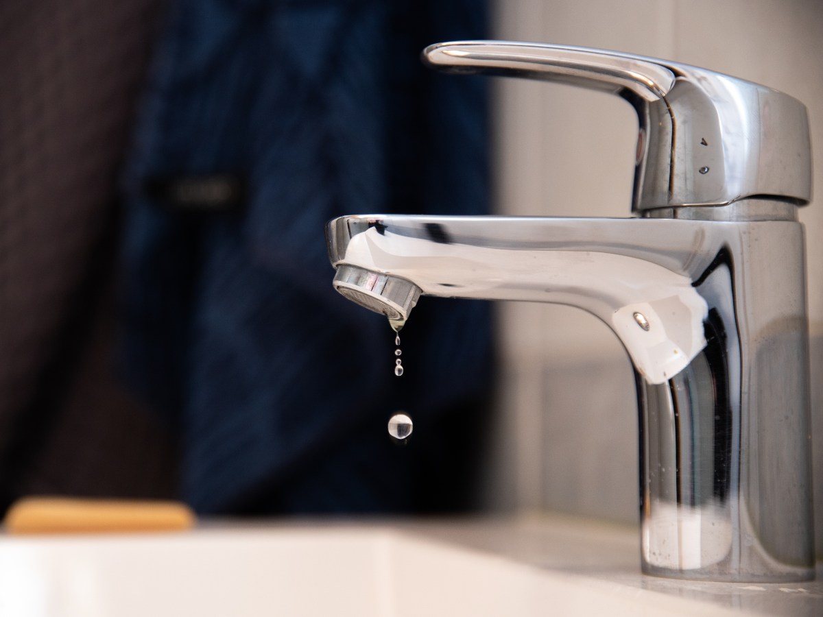 Agua, grifo