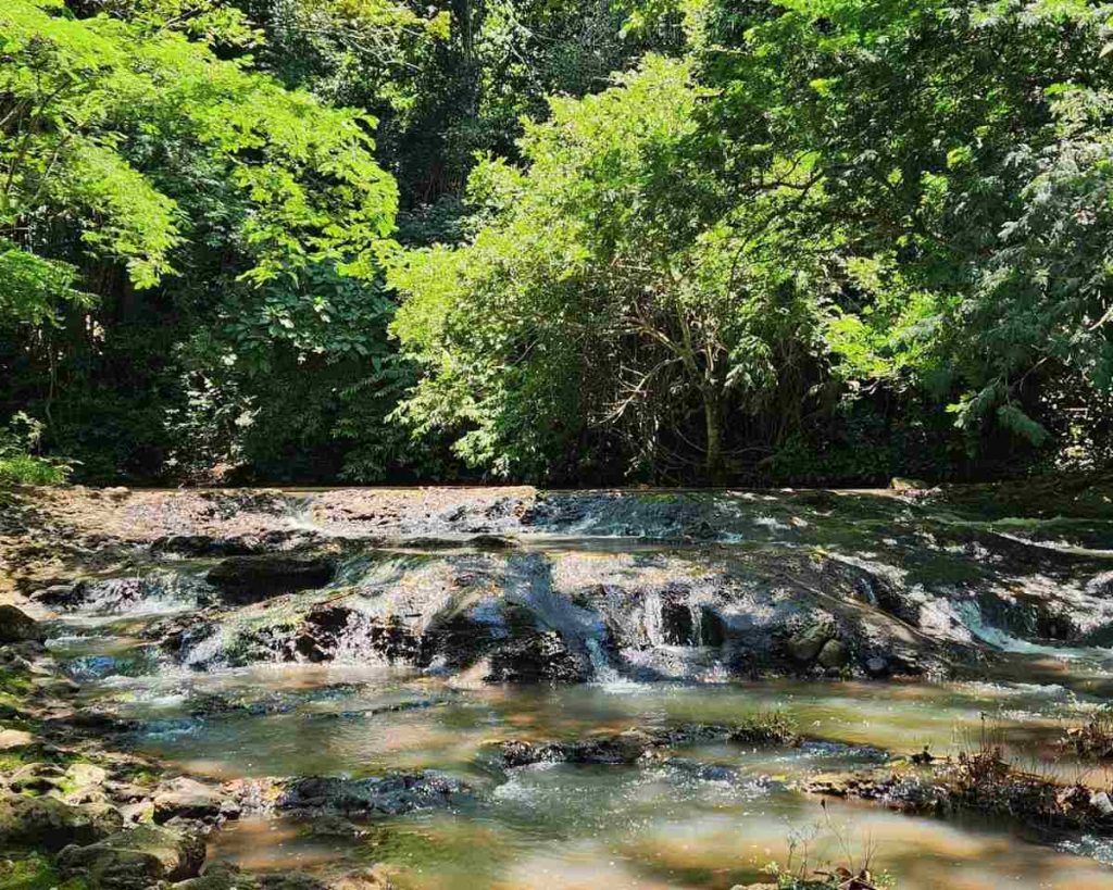 La caminata permite acercarse hasta la parte baja de la cascada, donde el agua refresca a quienes completan la ruta.
