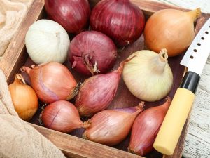 Elegir la cebolla adecuada puede mejorar el sabor, la textura y el equilibrio de una receta.