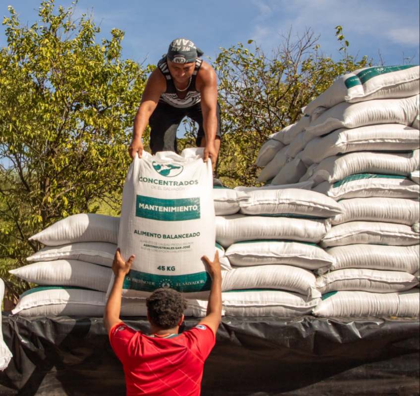 Cada productor puede adquirir hasta cuatro quintales de concentrado a precio preferencial, según informó el Ministerio de Agricultura y Ganadería. Foto