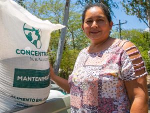 concentrado MAG