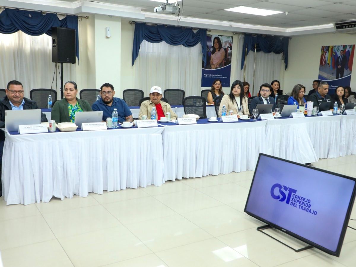 La comisión técnica recibió a instituciones públicas vinculadas con la economía y la producción para conocer sus propuestas.