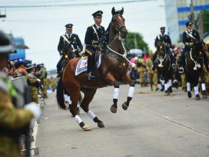 desfile-militar-caballeria-independencia (2)