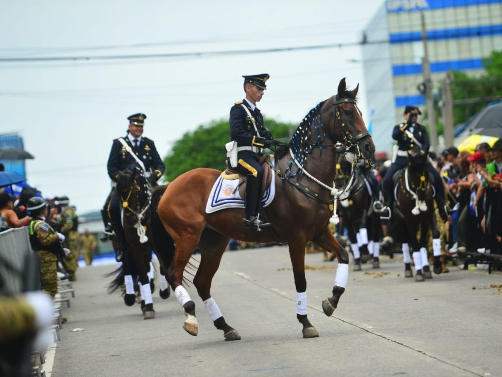 Entre los ejemplares que recorrieron las calles se encontraban caballos frisones, guarlander, españoles e ingleses.