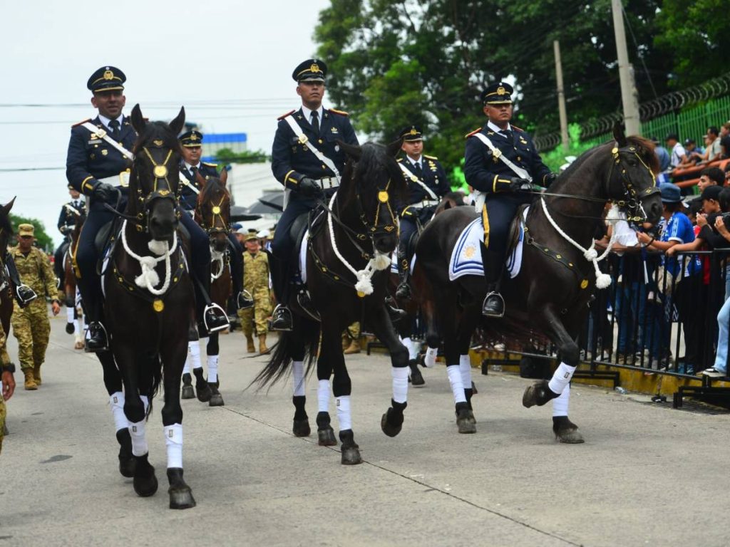 La presencia de estos animales acompañó la representación de esta unidad militar y mantuvo una tradición vinculada a su participación en las actividades conmemorativas de la Independencia de El Salvador.