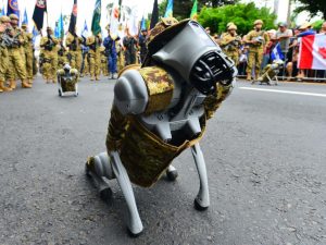 desfile militar independencia (5)