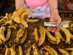 dinero-negocios-platano-maduro