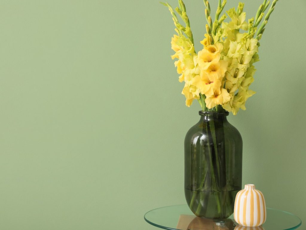 Gladiolos amarillos: Sus tallos altos y flores en espiga aportan elegancia y verticalidad a los arreglos.