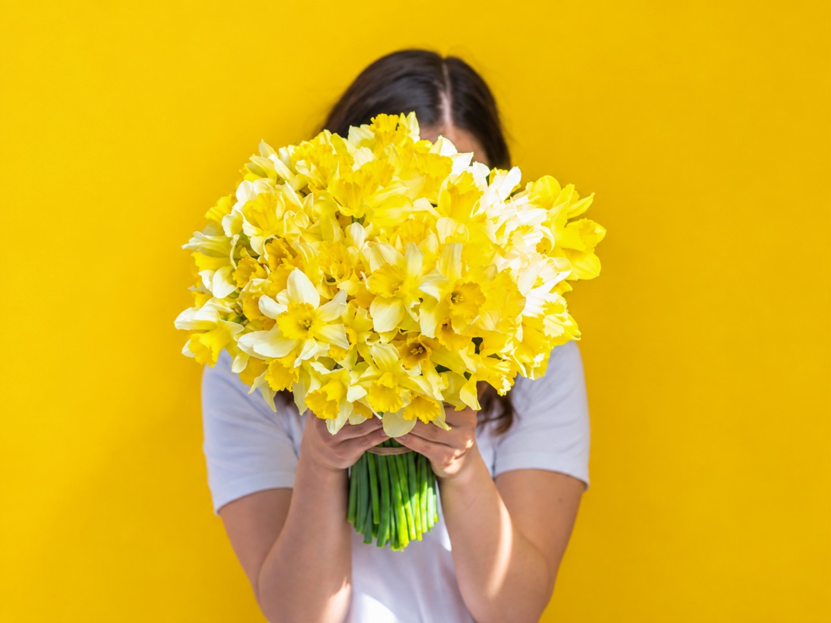 ¿Por qué se regalan flores amarillas cada 21 de septiembre?
