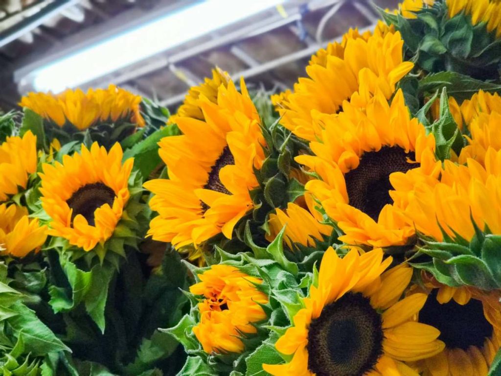 mercado central-flores-amarillas