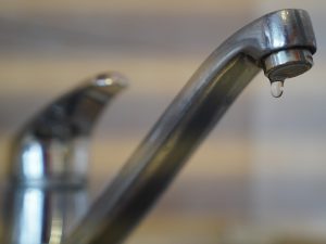 grifo-agua