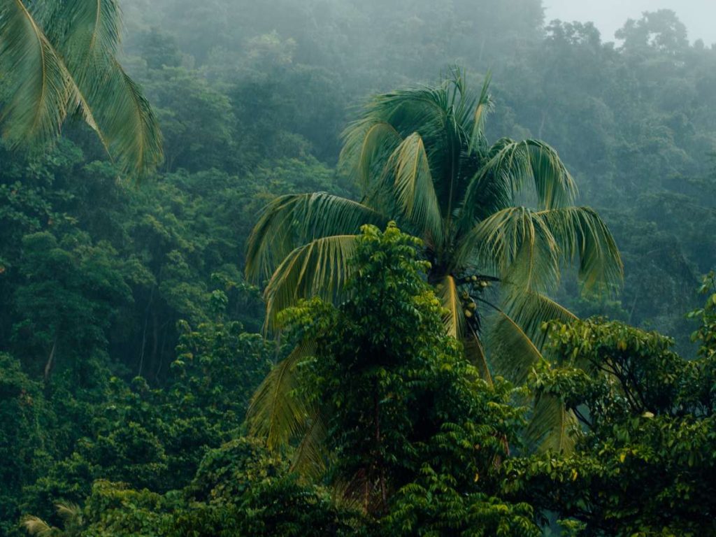 Las áreas naturales protegidas de El Salvador permanecerán cerradas hasta nuevo aviso debido a las lluvias.