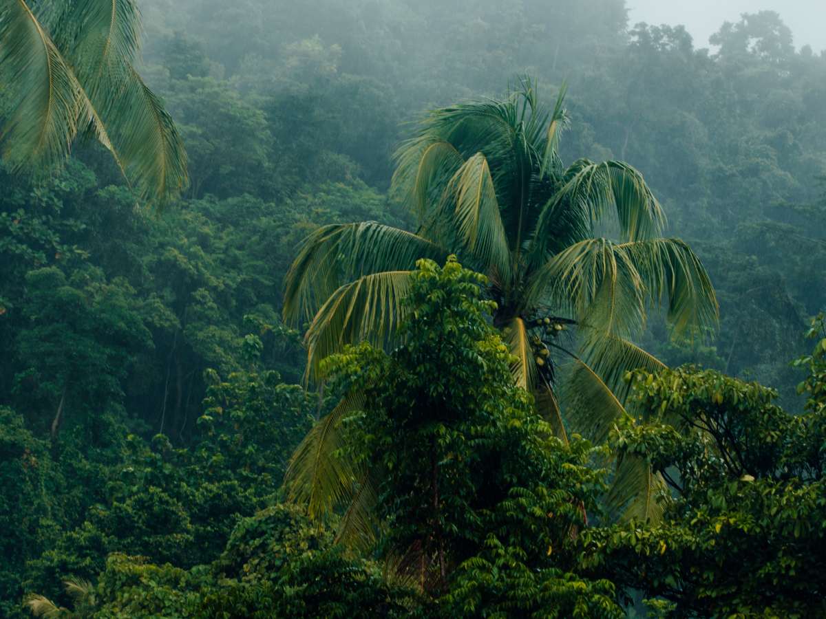 Las áreas naturales protegidas de El Salvador permanecerán cerradas hasta nuevo aviso debido a las lluvias.