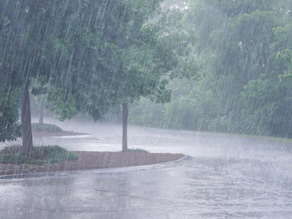 lluvias