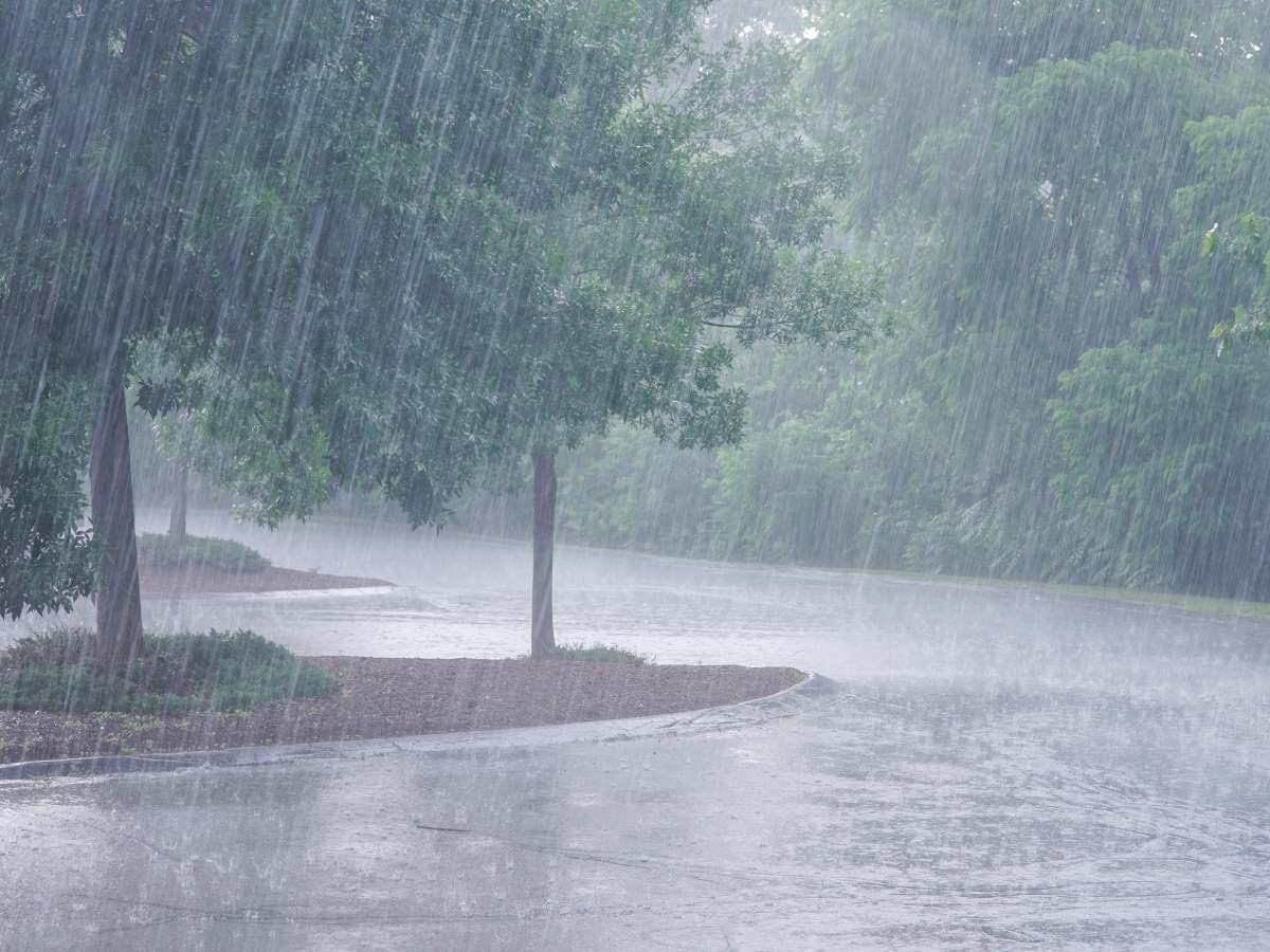 lluvias