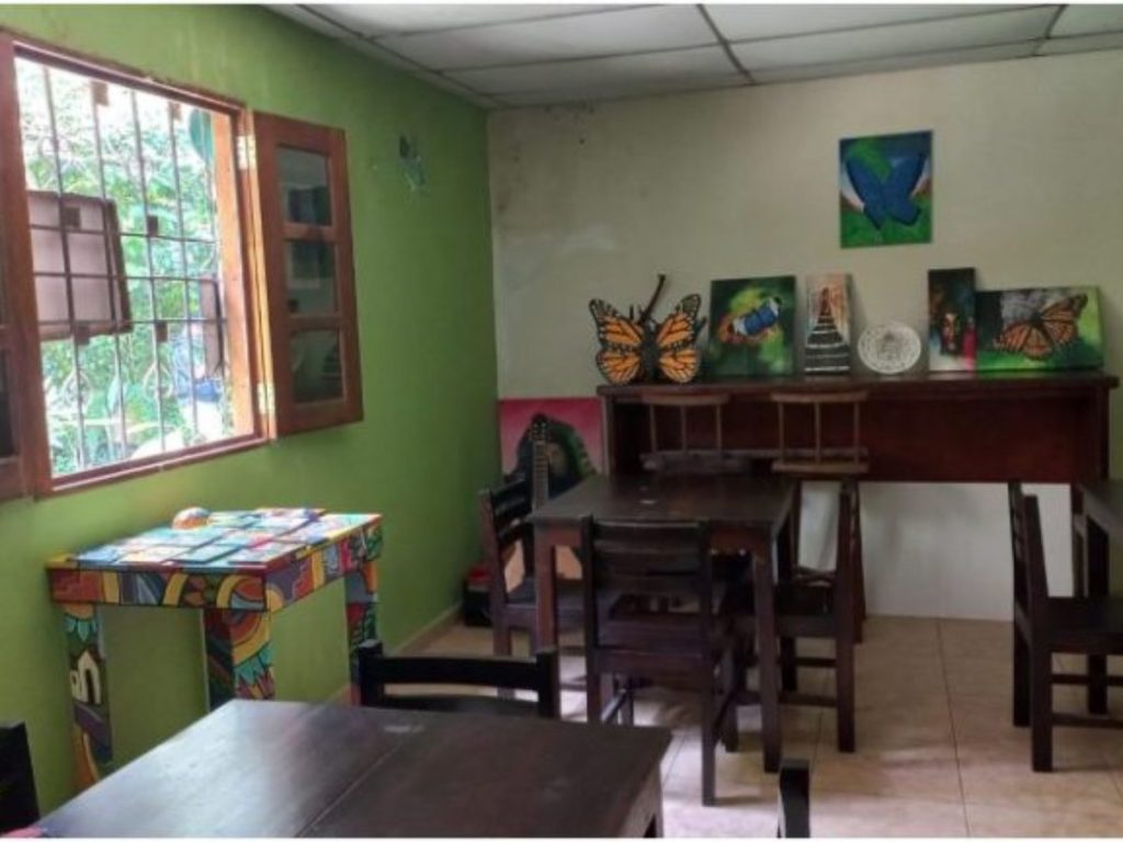 Visitantes pueden conocer de cerca el ciclo de las mariposas.
