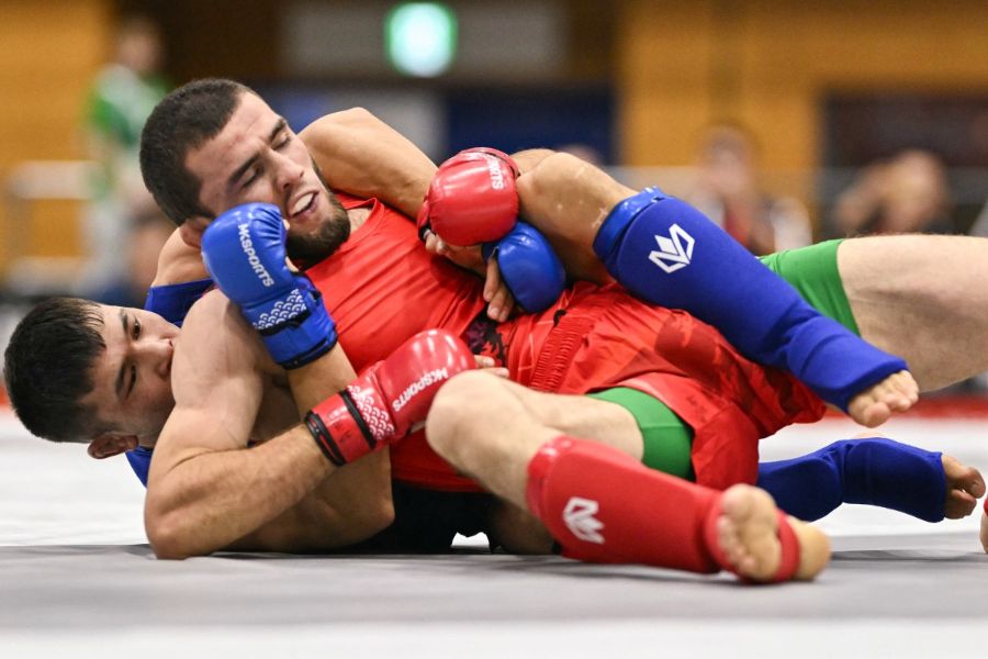 mma peleas gallo historia 03