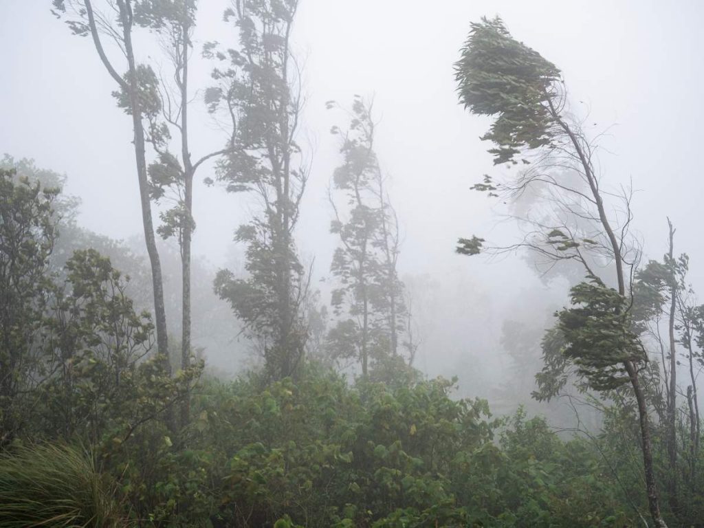 El Salvador tendrá este lunes una jornada marcada por calor intenso, lluvias y tormentas, según el Ministerio de Medio Ambiente.