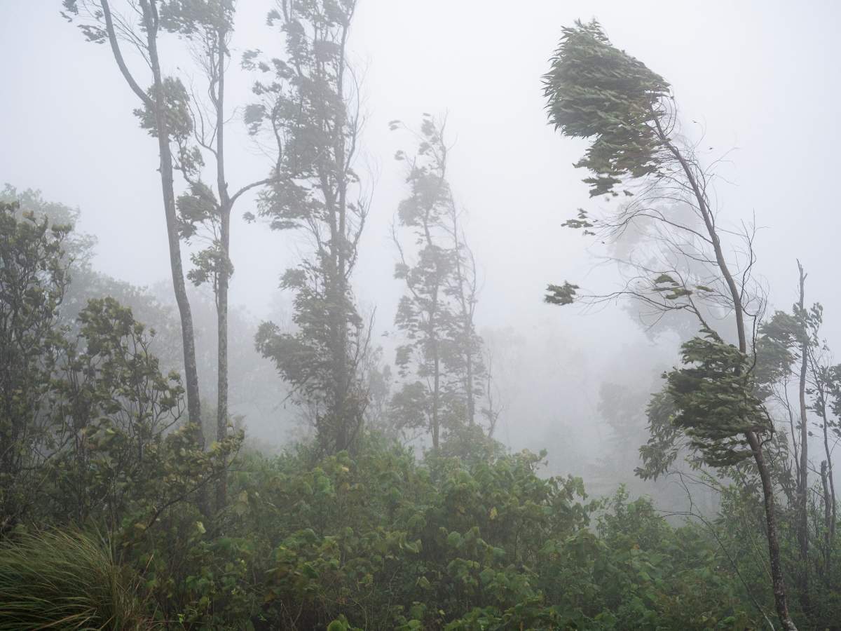 El Salvador tendrá este lunes una jornada marcada por calor intenso, lluvias y tormentas, según el Ministerio de Medio Ambiente.