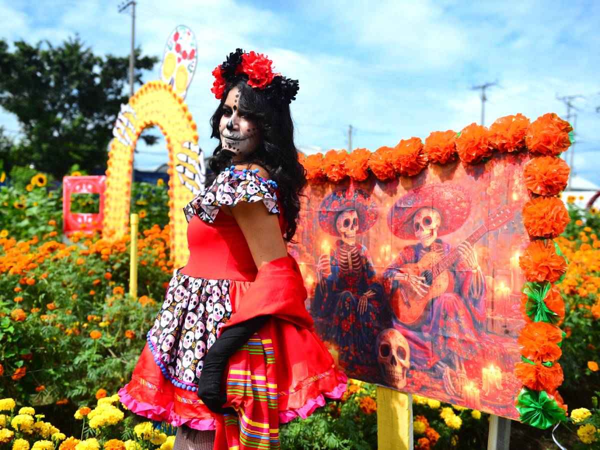 Jardín colorido con variedad de plantas en el vivero Rainbow Ornamentales en Sitio del Niño.