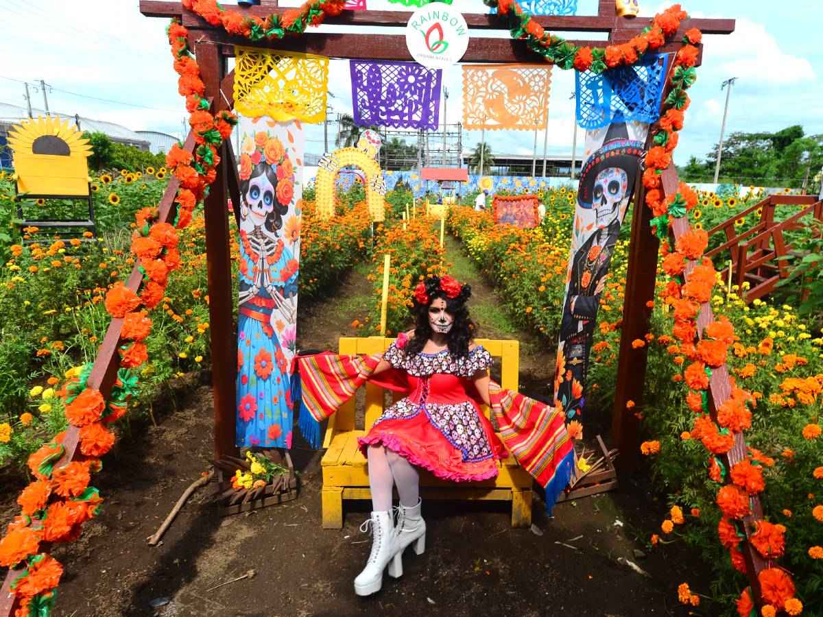 Flores de girasol y cempasúchil en tonos amarillos y naranjas representativas de las festividades de otoño.