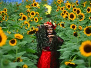 Festival- Otoño- Flores- Girasoles- Vivero- San Juan Opico- La Libertad