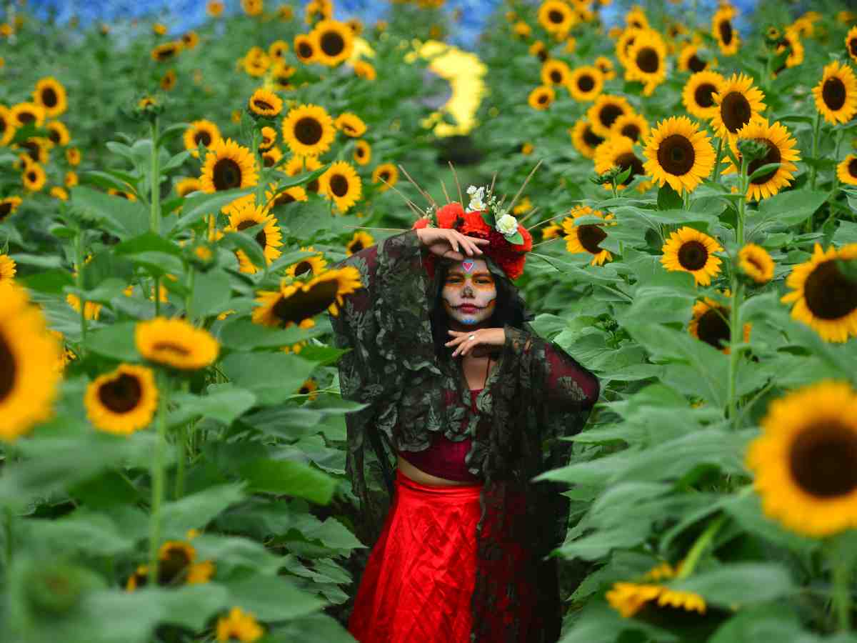 Festival- Otoño- Flores- Girasoles- Vivero- San Juan Opico- La Libertad