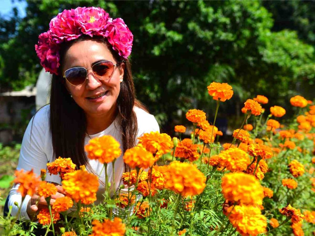 Festival- Otoño- Flores- Girasoles- Vivero- San Juan Opico- La Libertad