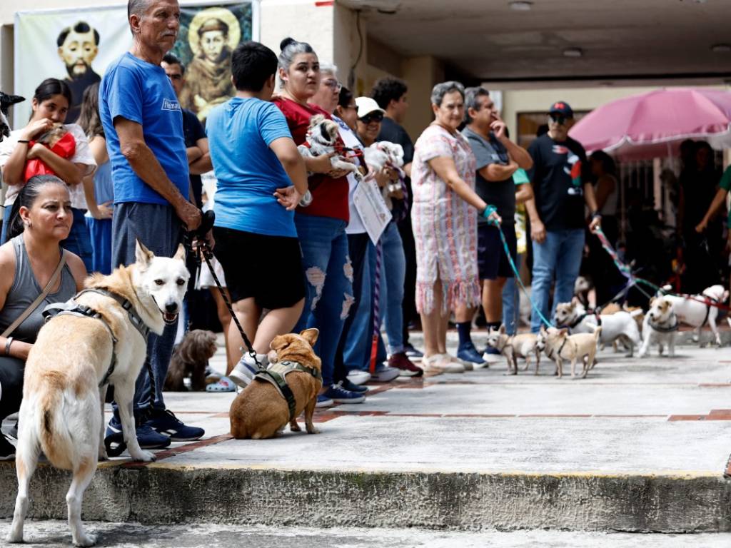 Diferentes animales de compañía reunidos de forma segura junto a sus dueños al aire libre durante una bendición.