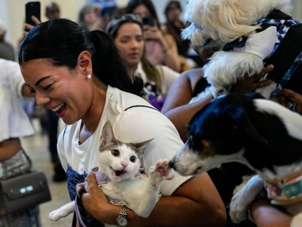 Una mujer sonriente sostiene a su gato, el cual estira su pata hacia un perro durante la bendición de animales.