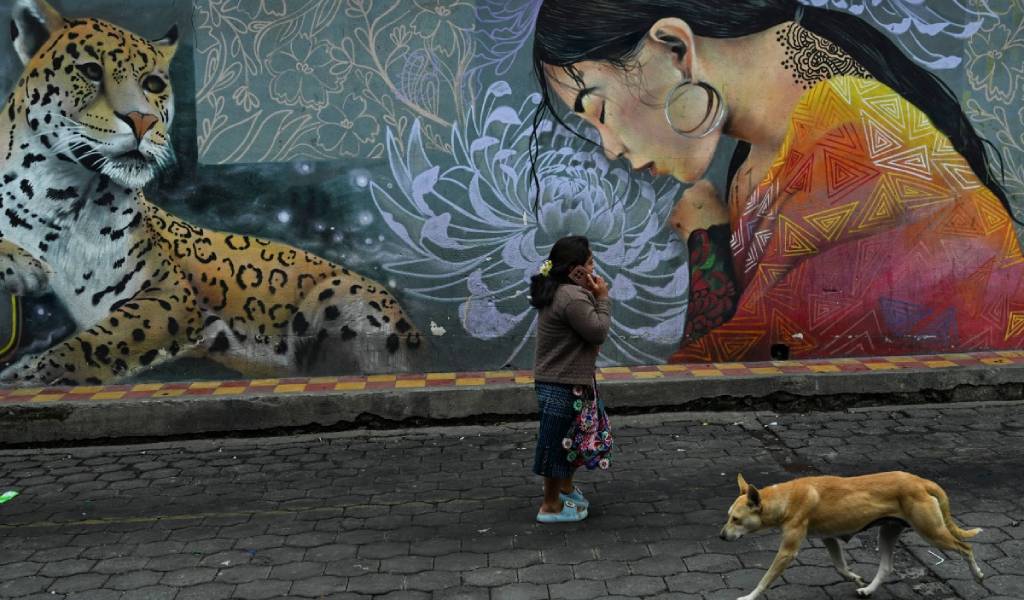 Paredes recuperadas en una calle comunitaria donde antes había deterioro y que ahora exhiben murales coloridos.