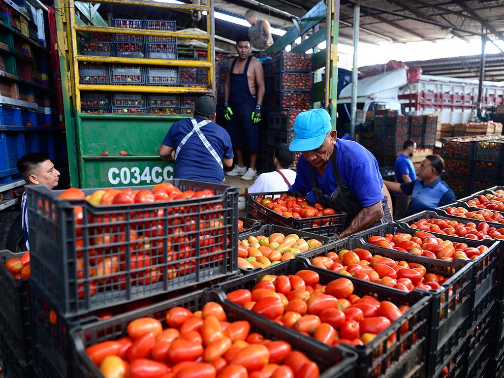 El precio de la caja de tomate ha registrado bajas en La Tiendona, donde comerciantes reportan valores desde $7, según la calidad y variedad del producto. / Foto Jessica Orellana.