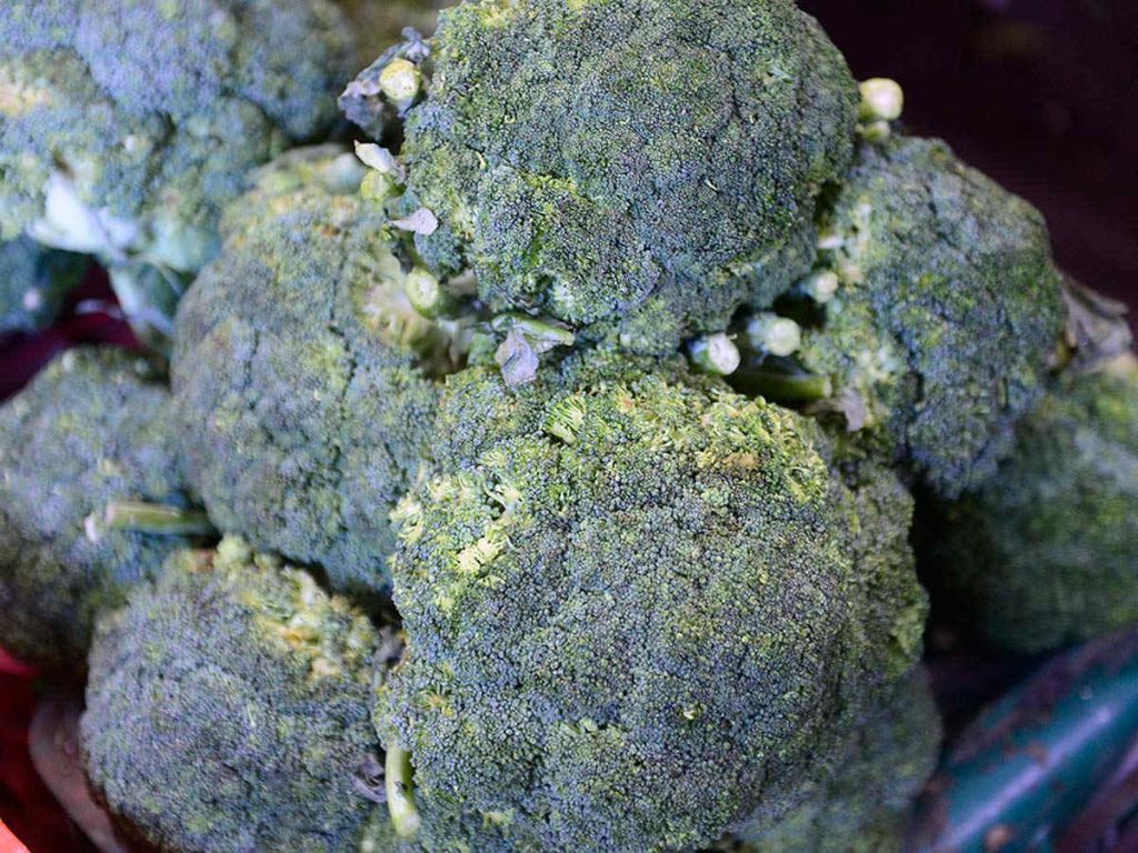Cabezas de brócoli verde de textura compacta amontonadas para la venta.