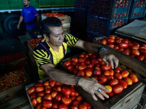 "Es poco lo que está entrando" | importación de verduras en La Tiendona