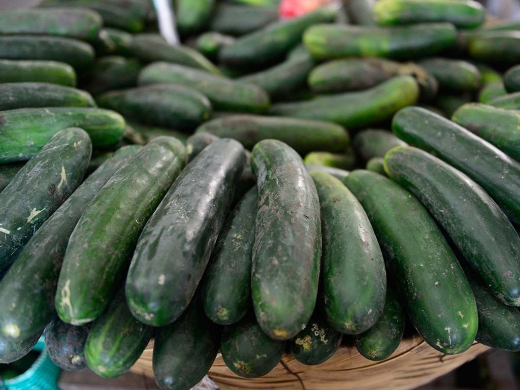 Cesta de mimbre repleta de pepinos verdecitos distribuidos de forma circular para la venta.
