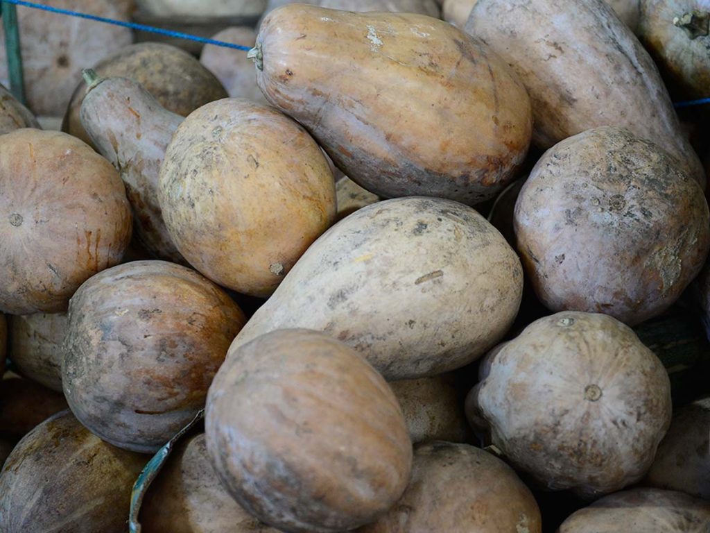 Cúmulo de ayotes y calabazas rústicas de cáscara dura apiladas en el mercado.