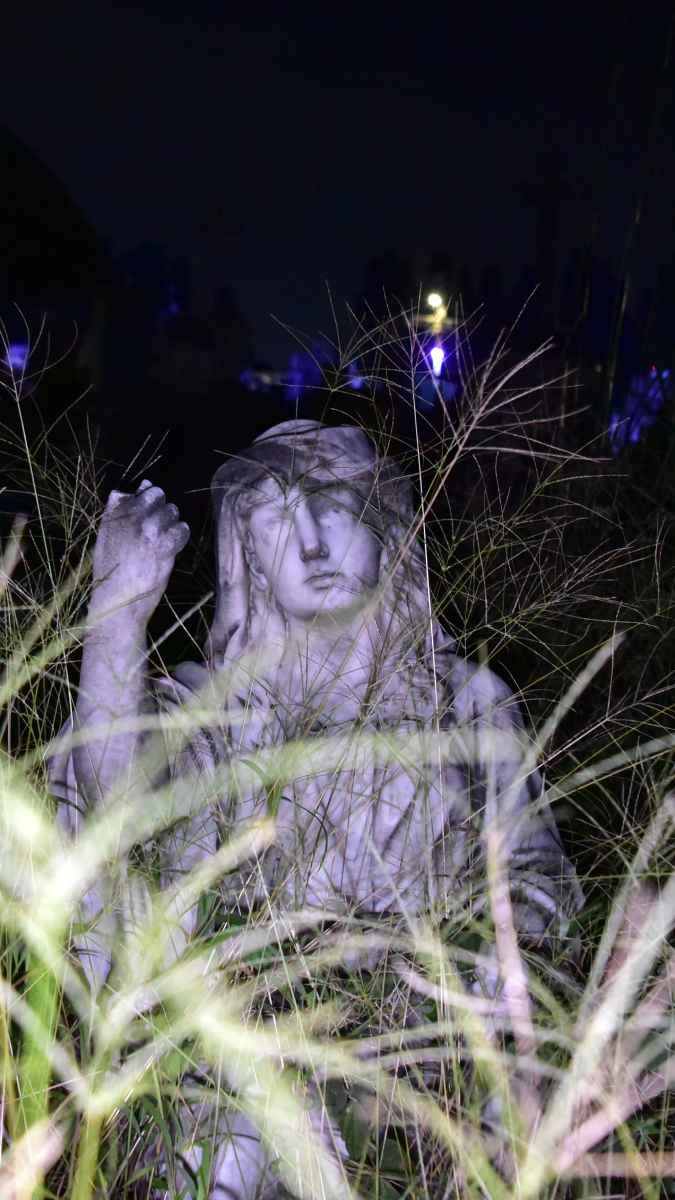 ML necroturismo cementerio los ilustres