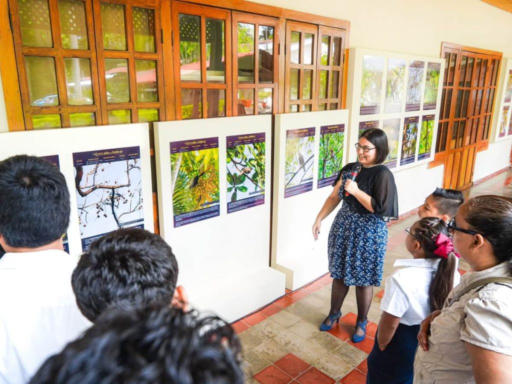 Estudiantes y visitantes participaron en las actividades conmemorativas organizadas por el MUHNES.