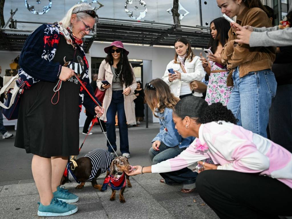 Espectadores y turistas sonrientes en la acera tomando fotos con sus teléfonos celulares a los perros salchicha disfrazados.