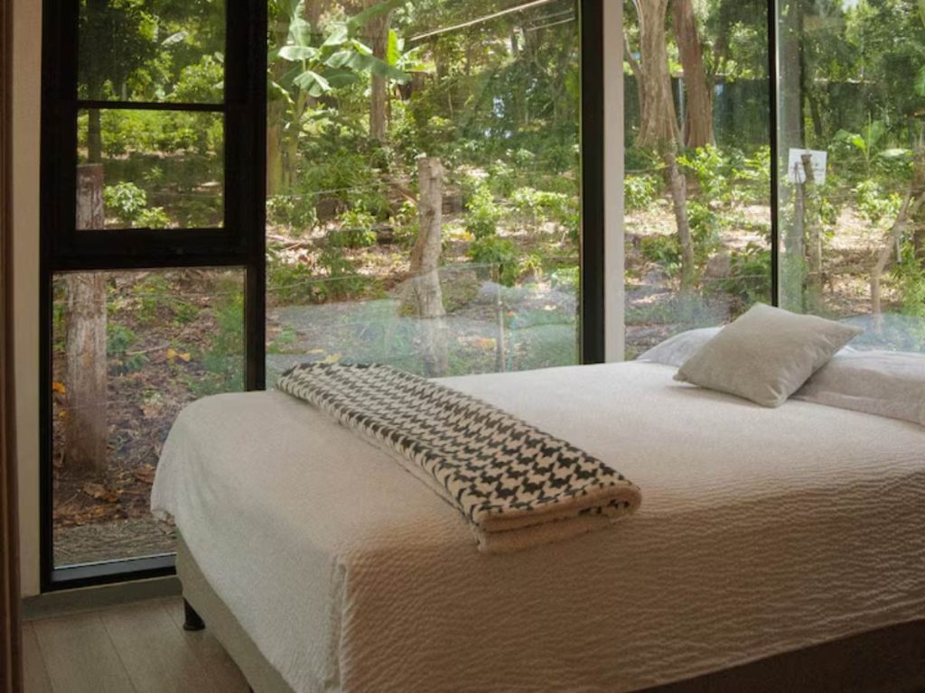 Las habitaciones de Naves en el Bosque cuentan con grandes ventanales que ofrecen vistas hacia la vegetación.