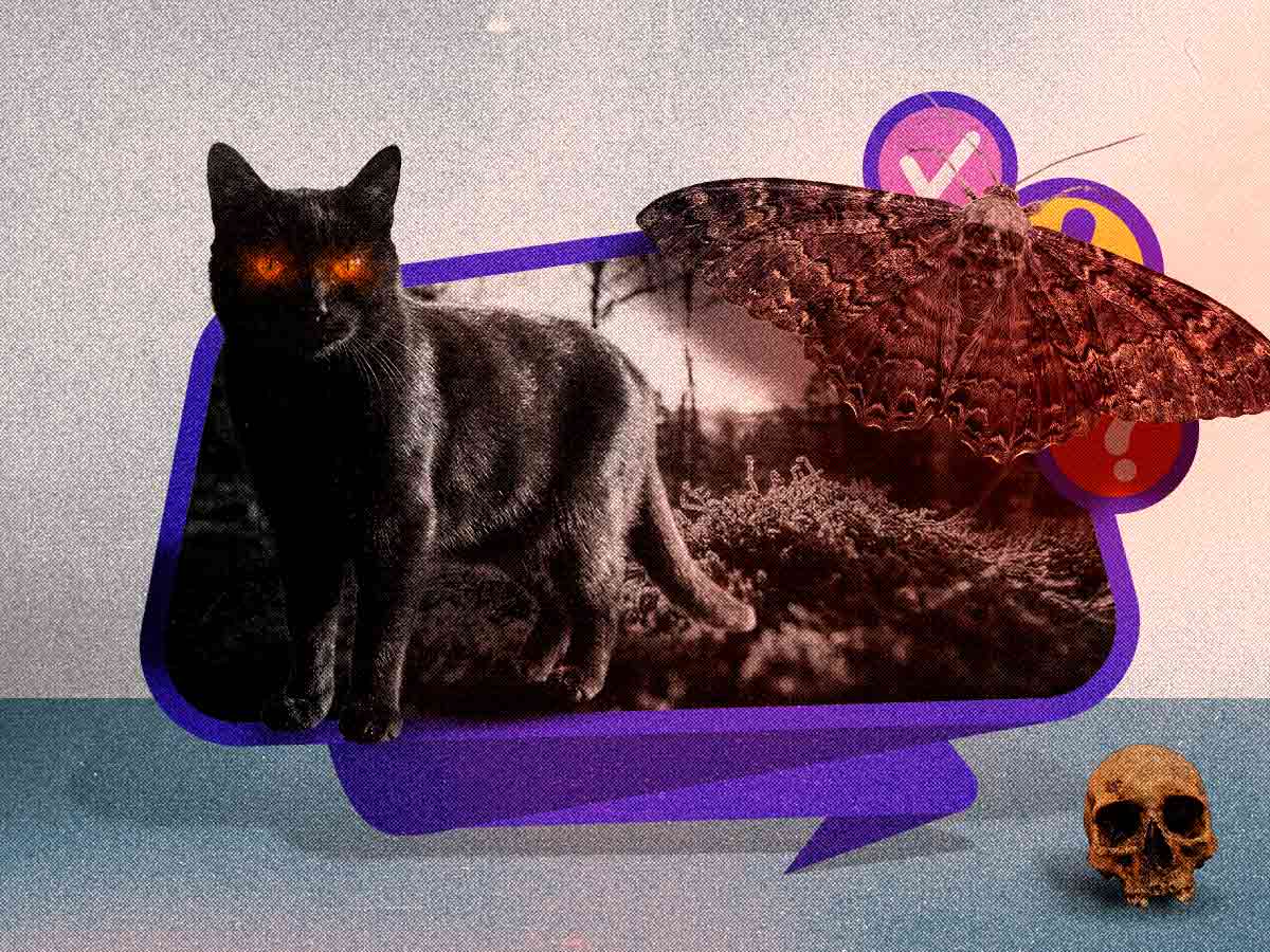 TRIVIA | Mitos, sustos y tradiciones: ¿podés superar esta trivia? 