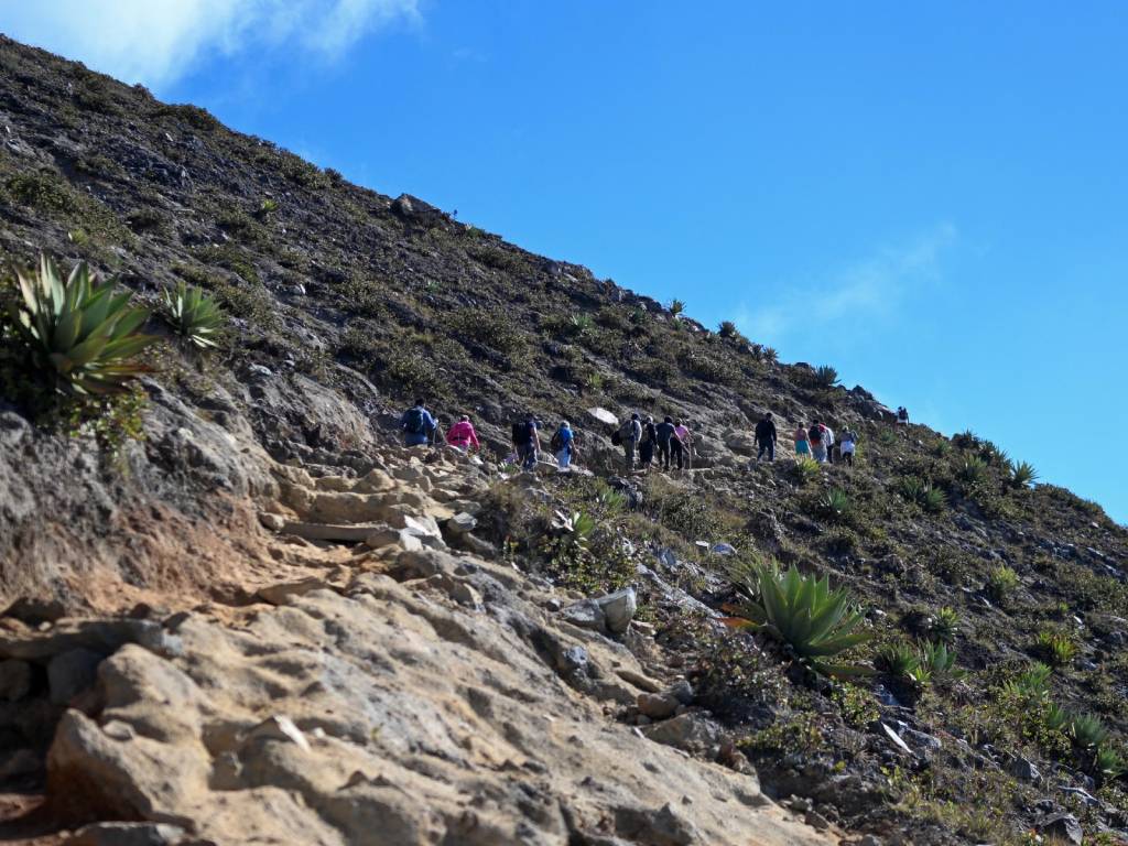 Senderistas ascendiendo por el sendero hacia la cumbre del Volcán de Ilamatepec rodeados de vegetación.