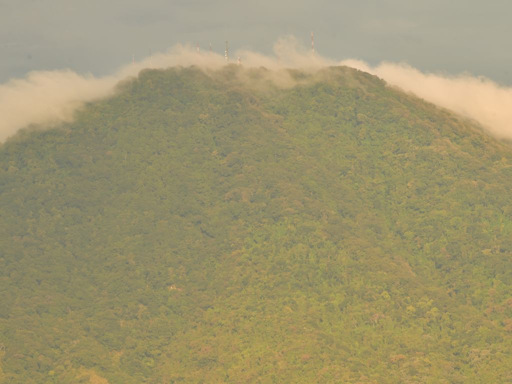 Una suave capa de niebla matutina corona la cima del frondoso volcán cubierto de antenas.