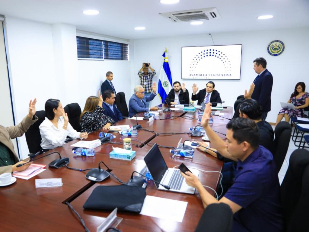 amnistía-asamblea