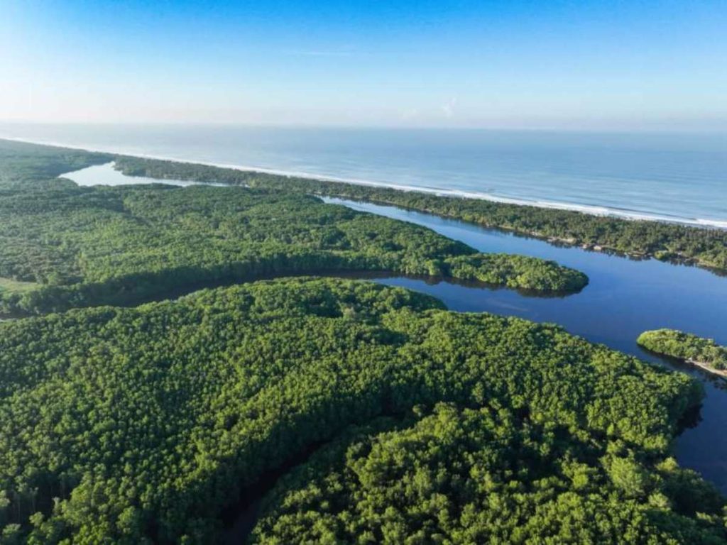 El Ministerio de Medio Ambiente y Recursos Naturales (MARN) anunció el cierre temporal del Canal El Zapatero, ubicado en el Complejo Barra de Santiago, en Ahuachapán.