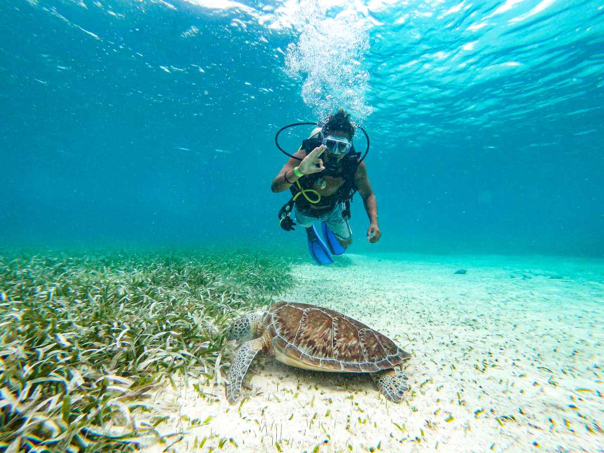 Belice revela su lado más natural durante la temporada verde, con cascadas, senderos y paisajes tropicales ideales para aventurarse.