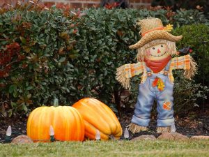 Calabazas y espantapájaros llenarán de color La Tierra, en San Juan Opico, con un recorrido familiar disponible del 1 al 8 de noviembre.