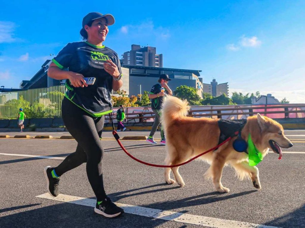 1. Algunas mascotas también acompañaron a sus dueños durante We All Run, sumándose al ambiente familiar de la jornada.